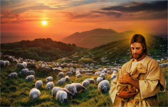 Rainha Maria - Santo Afonso de Ligório: O ofício de um bom pastor não é  outro senão guiar as suas ovelhas para bons pastos e defendê-las contra os  lobos