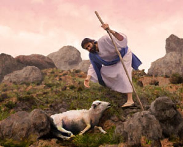 Resultado de imagem para imagens Um homem possui cem ovelhas: uma delas se desgarra. Não deixa ele as noventa e nove na montanha, para ir buscar aquela que se desgarrou
