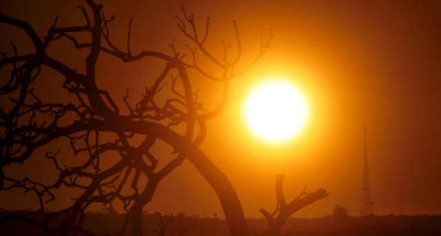 Alerta para umidade como no deserto do Saara em São Paulo devido ao calor