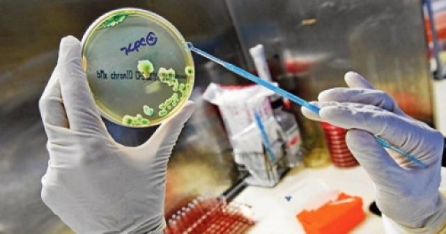 Superbactéria que se propaga no ar pode causar epidemia global