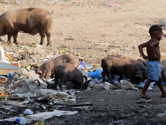 A vida no lixo: Na Baixada Fluminense RJ, famílias vivem entre lixo, porcos e sem água potável