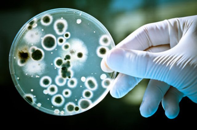 Sinal dos Tempos: Superbactérias mortais se espalhando rapidamente no Sudeste dos EUA