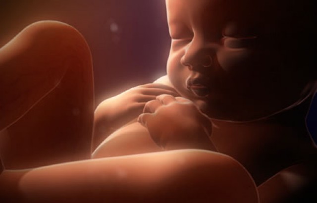 Fim dos Tempos e a Planned Parenthood, uma macabra indústria que comercializa órgãos de bebês abortados