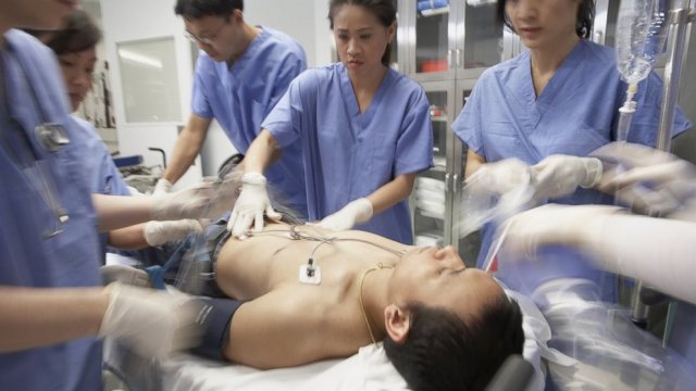 Médicos que ressuscitam mortos querem testar técnica em humanos