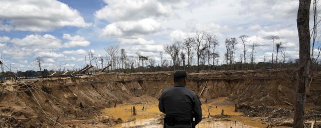 A Sexta Extinção: Livro vencedor do Pulitzer mostra como o homem vai acabar com a vida na Terra em muito pouco tempo