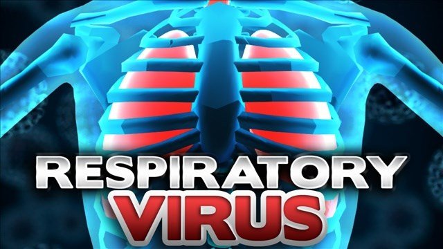 Morre 2ª criança nos EUA devido a raro vírus respiratório