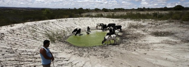 Dezoito municípios de Pernambuco estão totalmente sem água. Estado tem 126 cidades em situação de emergência por causa da seca