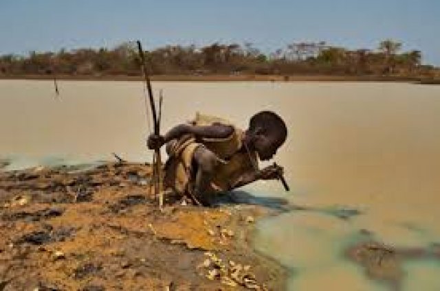 Fim dos Tempos: OMS estima 2 milhões de mortes por comida e água contaminadas