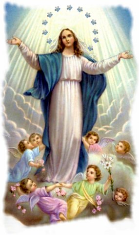 Dia 08 de dezembro:Solenidade da Imaculada Conceição da Santíssima Virgem Maria