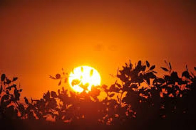 Histórica onda de calor não dá trégua e RS terá sétimo dia acima dos 40°C