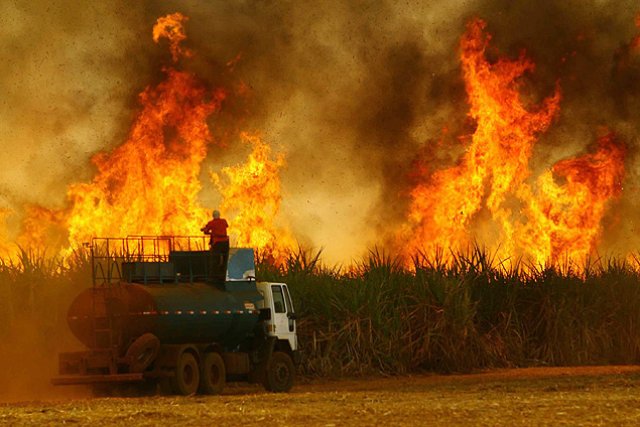 Além da seca, focos de incêndios aumentam em todas as Regiões de Sâo Paulo