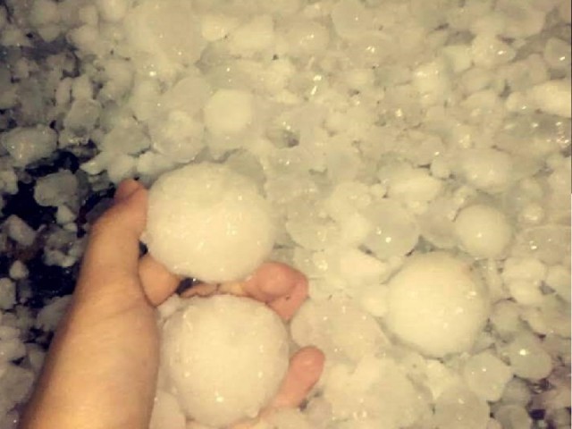 Relato da senhora Zenilda sobre a fortissima tempestade de granizo em Foz do Iguaçu: O granizo tinha o tamanho de uma laranja