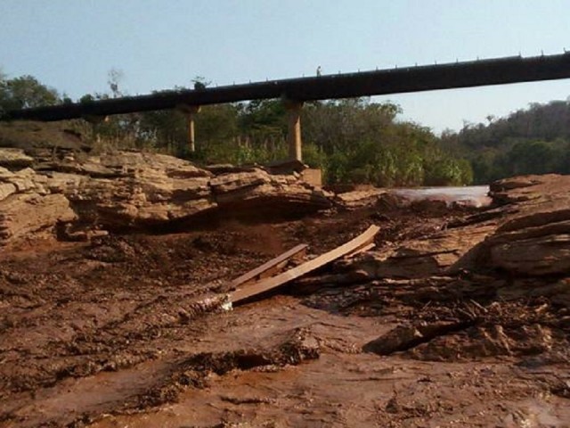 Devastação sem fim: Rio Doce sobe por conta de lama e mata animais em Minas Gerais