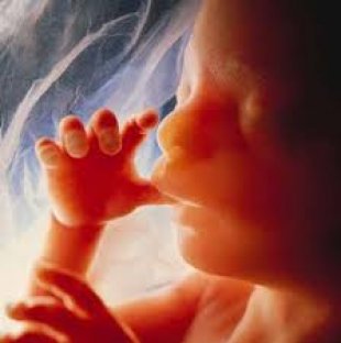 Grupo católico ataca aborto com mensagem que representa 54 milhões de bebês abortados