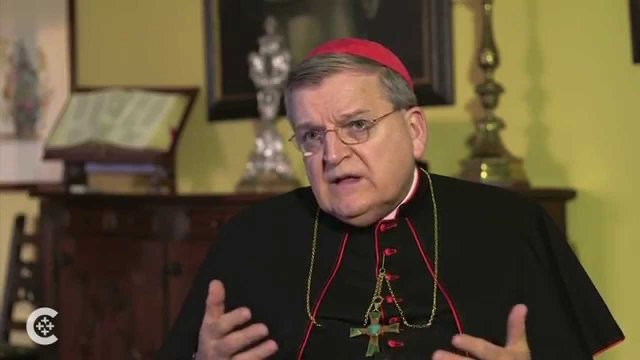 Cardeal Burke diz: No Sínodo da Familia, vi um esquecimento quase completo do Magistério, muitos de nós estávamos horrorizados