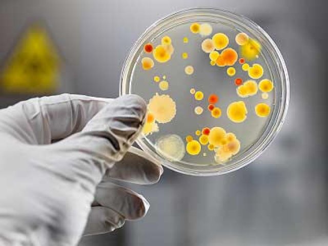 Alerta: Laboratórios norte-americanos confessam fugas de bactérias mortais