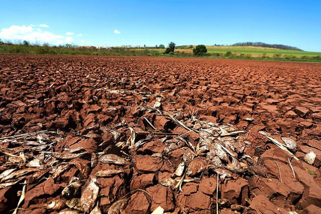 Final dos Tempos: Lagoa seca completamente e causa mortandade de peixes no interior de SP