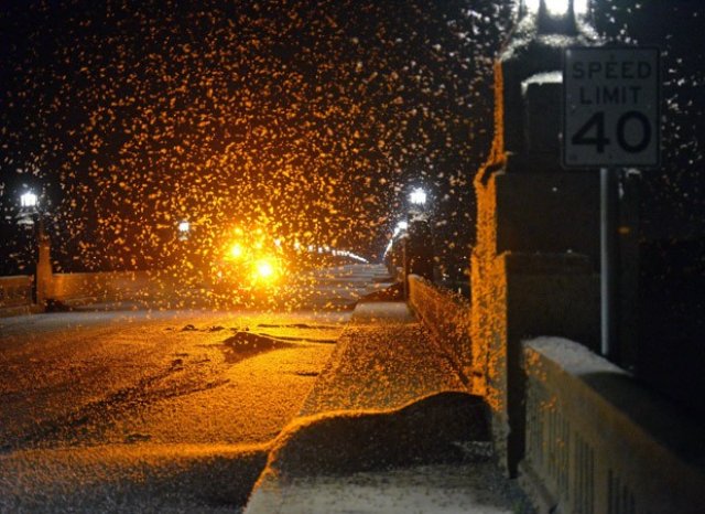 Sinal dos Tempos: Nos EUA, invasão de milhares de insetos na Pensilvânia, parecia uma nevasca, segundo bombeiros