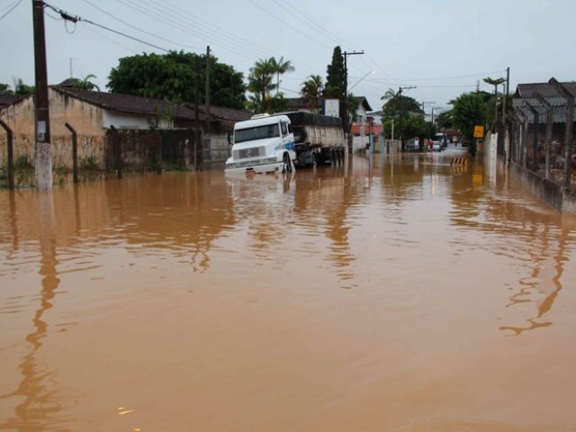 Chuva derruba árvores, ruas viram rios, deixando cidade isolada no interior de SP