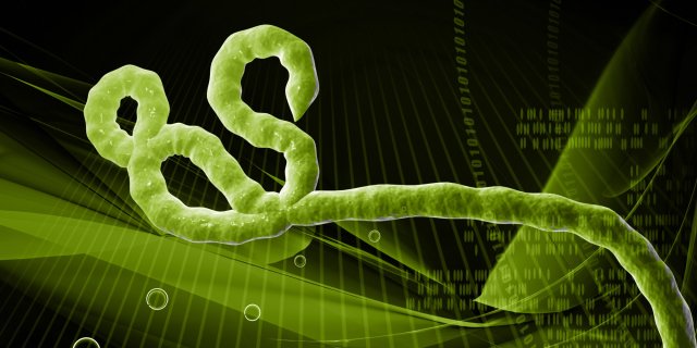 Ebola está evoluindo rapidamente: Médicos não conseguem acompanhar mutações do vírus