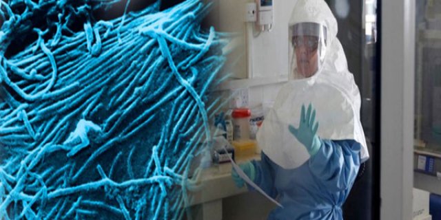 Virologistas dizem: Vírus do ebola pode sofrer mutação e ser transmitido pelo ar
