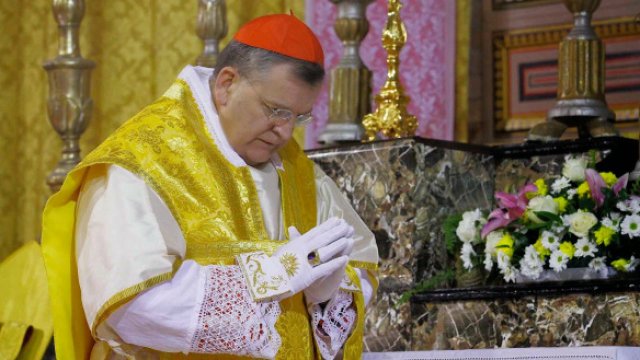 Cardeal Burke declara: O Papa não tem poder de mudar a doutrina da Igreja