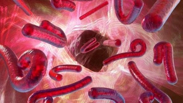 Ministro da Saúde da Libéria alerta ao povo a parar de ter relações sexuais, porque o Ebola se espalha através de fluidos corporais