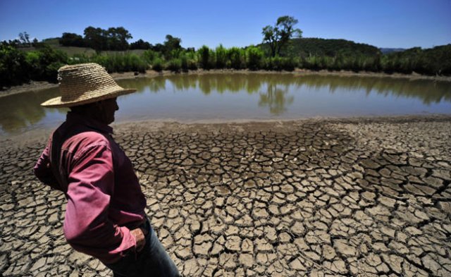 Seca faz 90% das cidades do Piauí decretarem situação de emergência