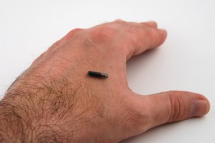 Mato Grosso: Projeto de lei deve implantar chip em pedófilos