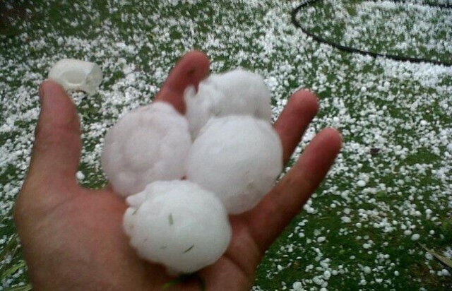 Tempestade de granizo seco sem chuva, com pedras do tamanho de ovos, mata dezenas de ovelhas no Uruguai