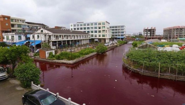 Fim dos Tempos: Rio na China amanhece vermelho como sangue misteriosamente, povo está perplexo