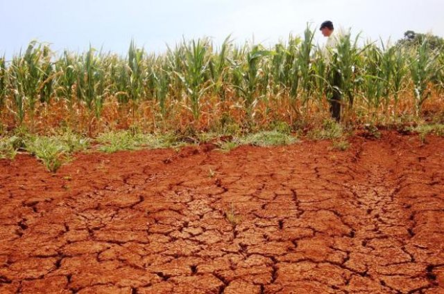 Seca sem fim: Agricultura está 90% perdida no Norte de Minas Gerais