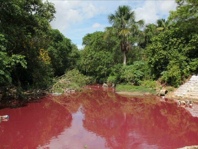 Água de igarapé fica avermelhada e fauna corre perigo no AM, diz geólogo