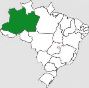 Brasil: Terremoto de 4.6 graus atinge o Amazonas